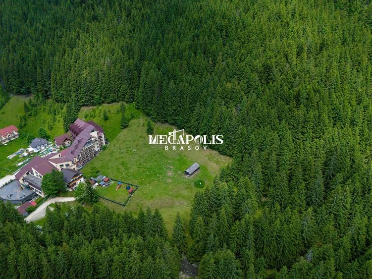 Teren Construcții intravilan de 12307 mp, în Moieciu de Sus