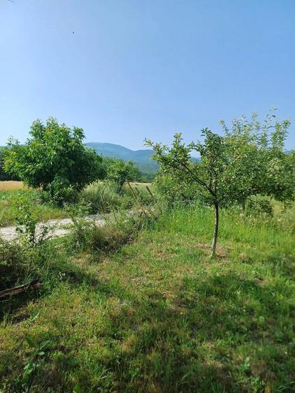 Teren de 948 mp, în Coroiești
