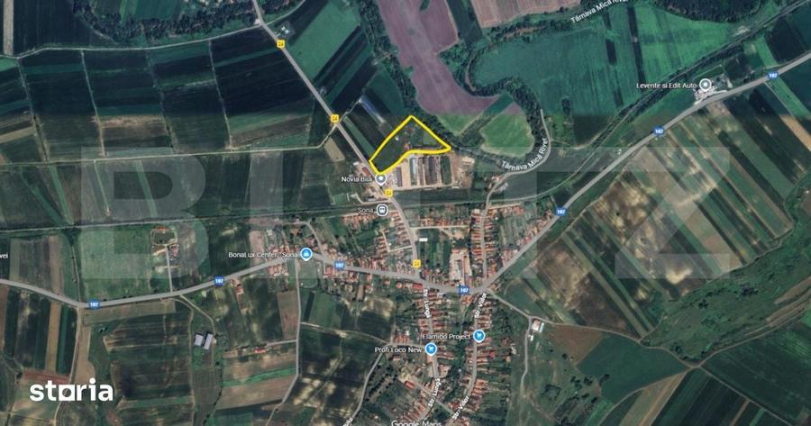 Teren de 13000 mp, în Crăciunelu de Jos
