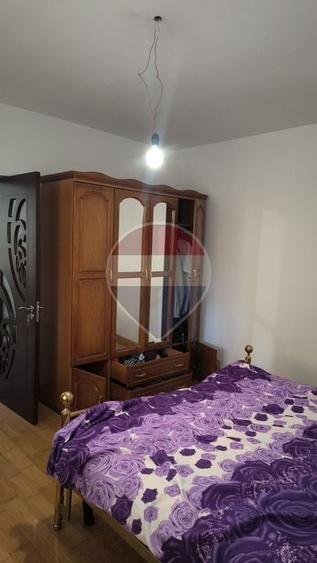 Casă individuală cu 4 camere cu Teren 2089 Mp în Borca