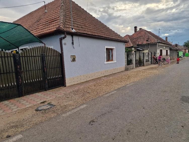 Casă cu Teren 950 Mp în Cărpiniș