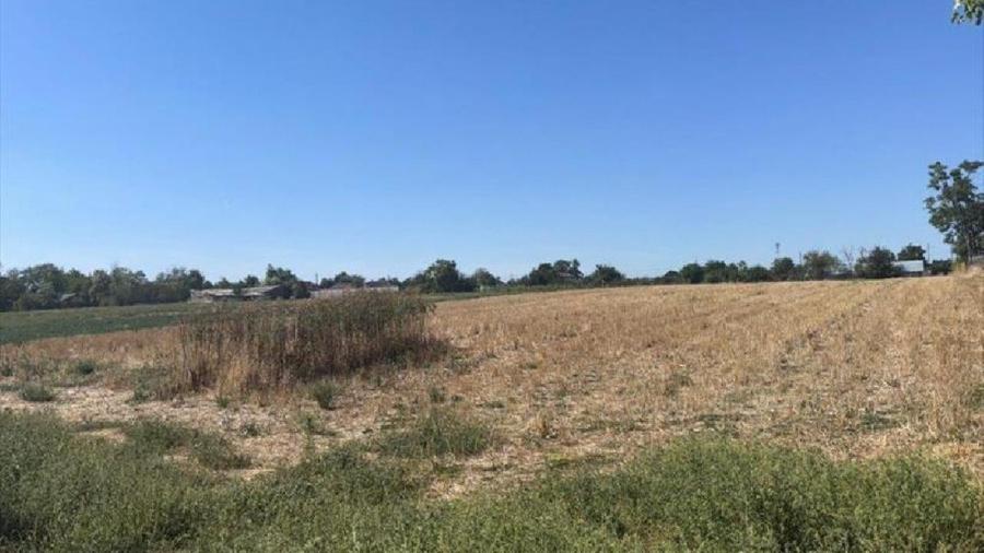 Teren intravilan de 4000 mp, în Roseți