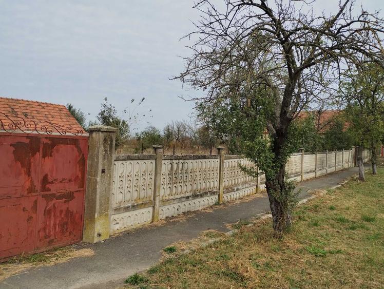 Casa veche din 1955 si teren intravilan 6153 mp,Localitate Sinersig,Jud Timis - 6