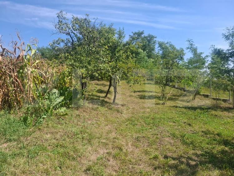 Casă individuală cu 6 camere cu Teren 1832 Mp în Glodeni