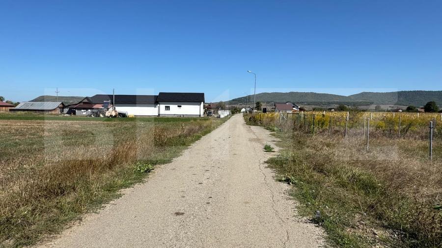 Teren Construcții intravilan de 2250 mp, în Sud