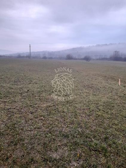 Teren agricol extravilan de 1698 mp, în Dumitrița