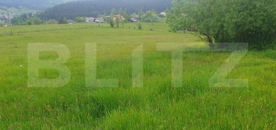 Teren Construcții intravilan de 9964 mp, în Vatra Dornei