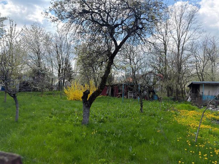 Teren Construcții intravilan de 1882 mp, în Cornu