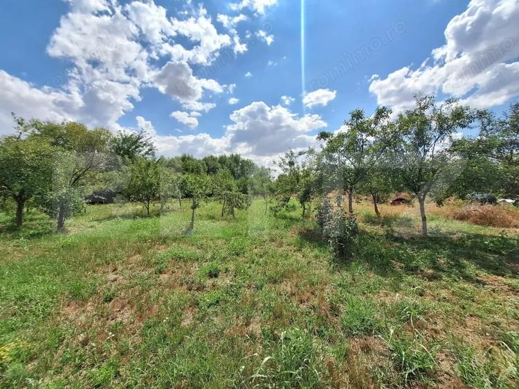 Casă cu 3 camere cu Teren 4600 Mp în Plopi
