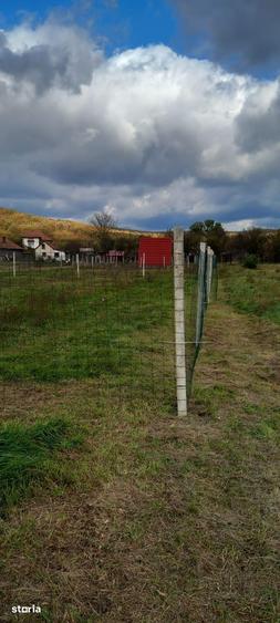 Teren intravilan pentru constructie casa in Balata - 2