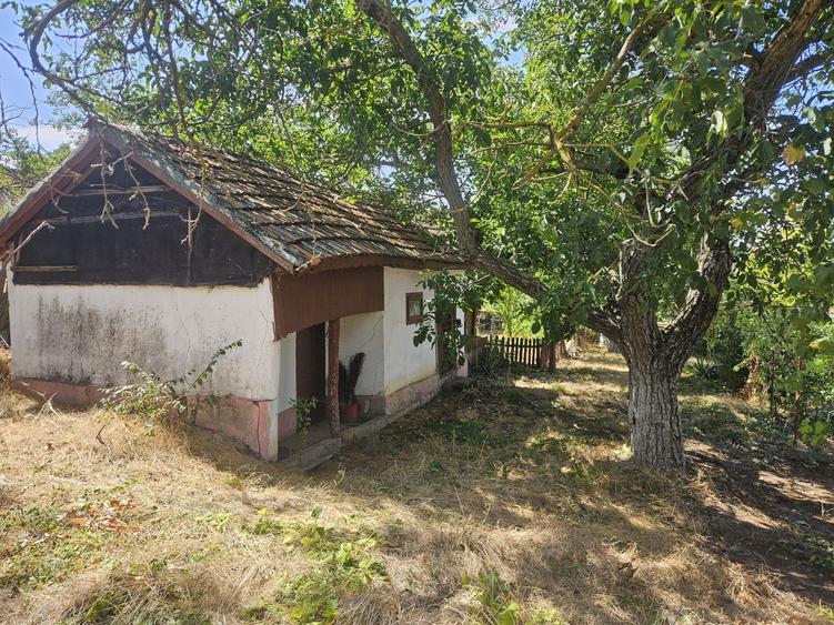 Casă cu 3 camere în Vitănești