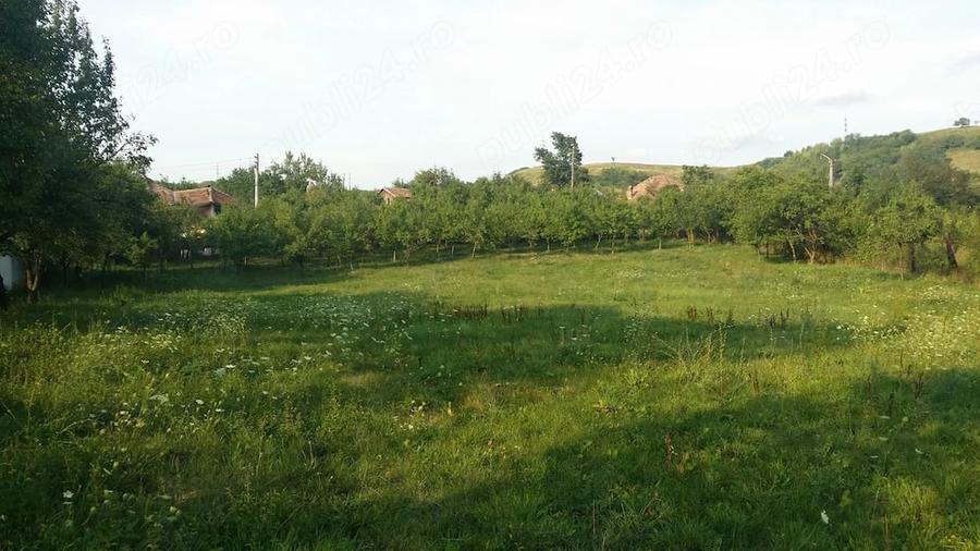Teren de 2000 mp, în Central