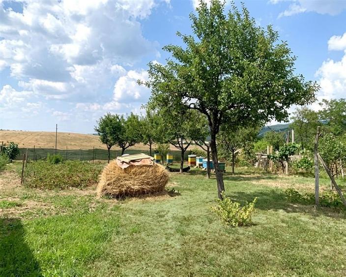 Casă individuală cu 3 camere cu Teren 1100 Mp în Brusturi