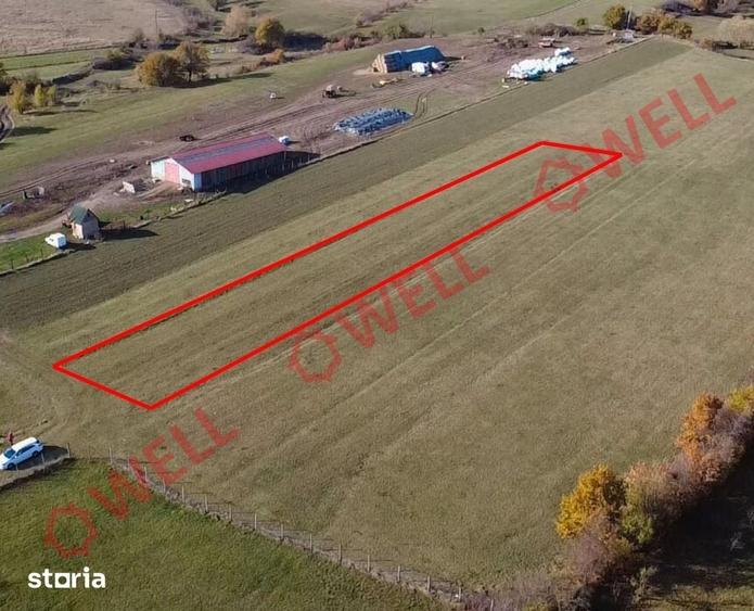 Teren de 1000 mp, în Valea Crișului