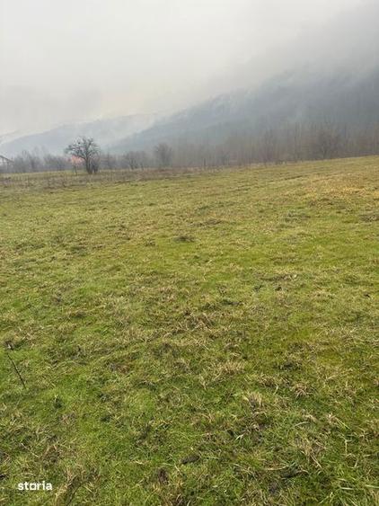 Teren intravilan - 3
