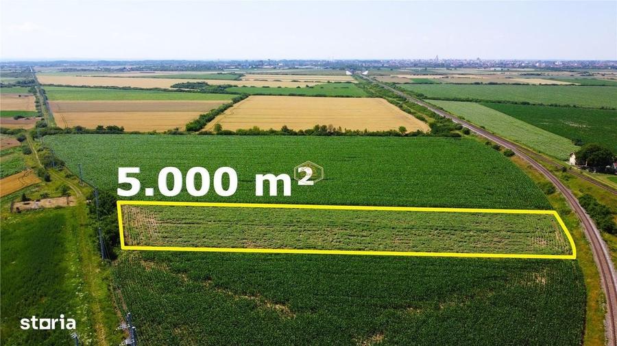 Teren extravilan - 5.000 m2 in Botiz | 3 km de Satu Mare - 6