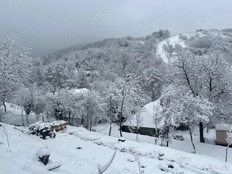 Casă cu 4 camere în Central