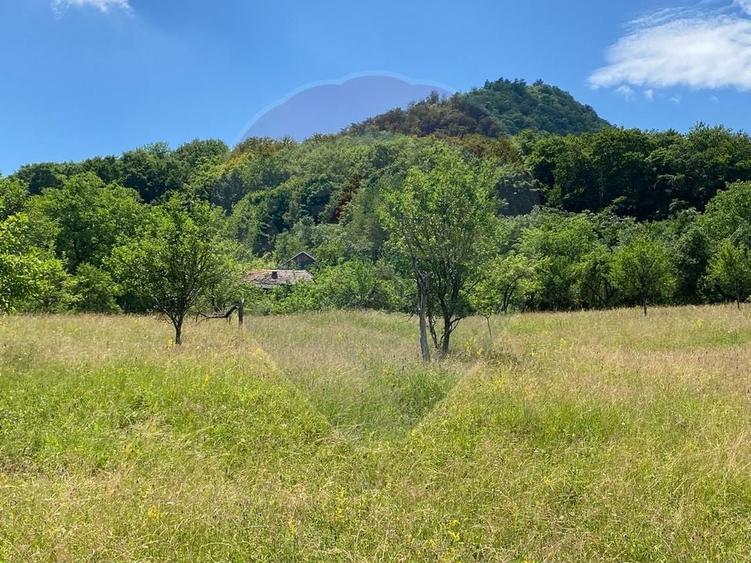 Teren Construcții intravilan de 12458 mp, în Văleni (Meteș)