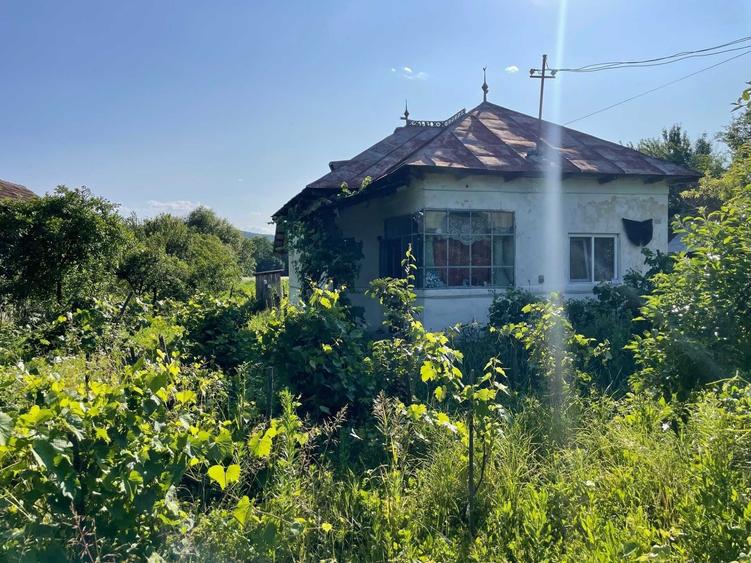 Casă cu 3 camere în Central