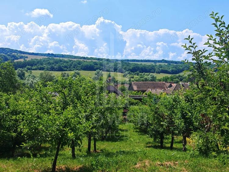 Casă cu Teren 1929 Mp în Bruiu