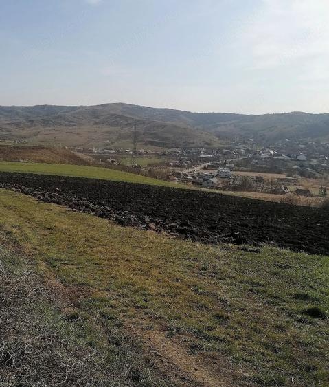 Teren de 11600 mp, în Florești