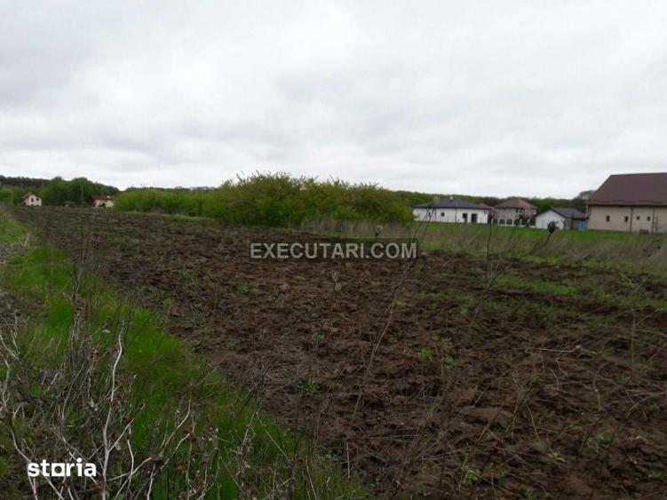 SNAGOV SAT - Teren- 2410m2 - Toate utilitatile - Zona de Vile - 5