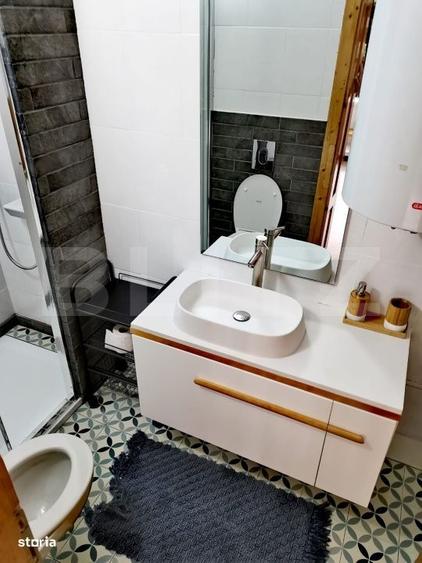 Investitie rara la Colibita 3 cabane aproape de lac, ideale pentru - 2