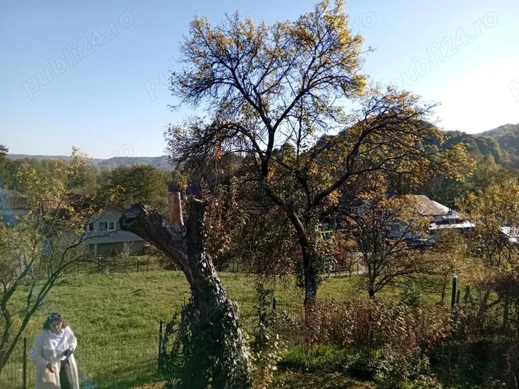 Teren de 1028 mp, în Băcești