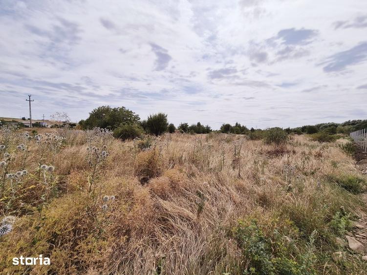 Teren de 3500 mp, în Central