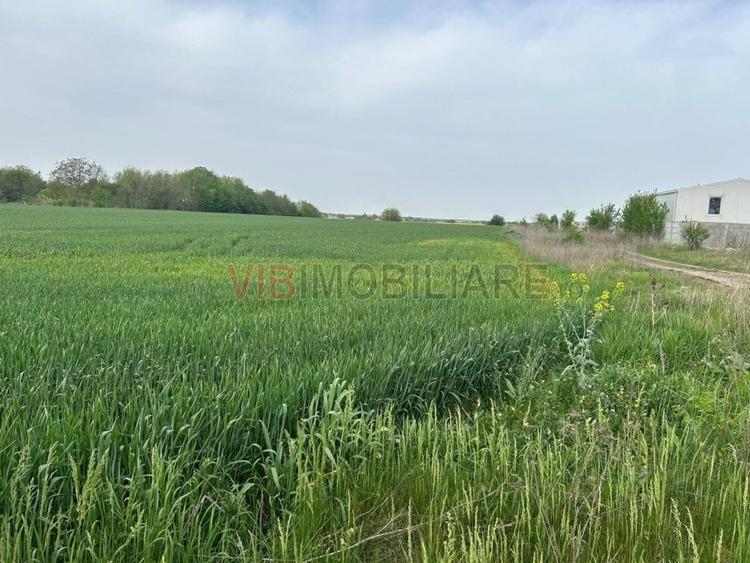 Teren intravilan de 9000 mp, în Dascălu