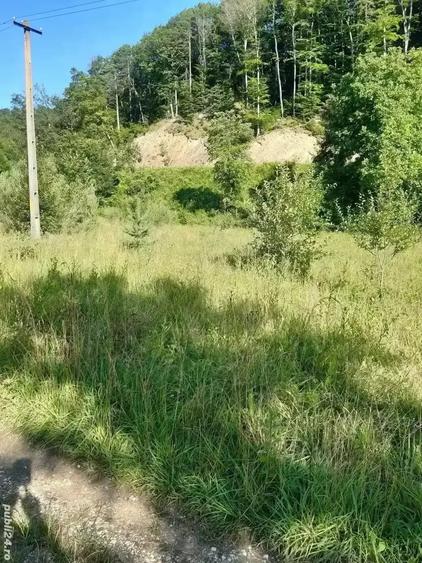 Teren de 1500 mp, în Central