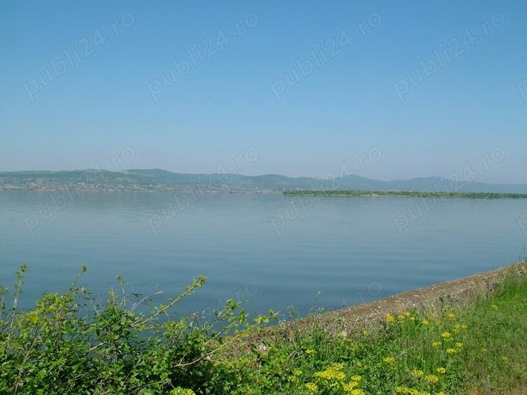 Teren de 8000 mp, în Drăgoești