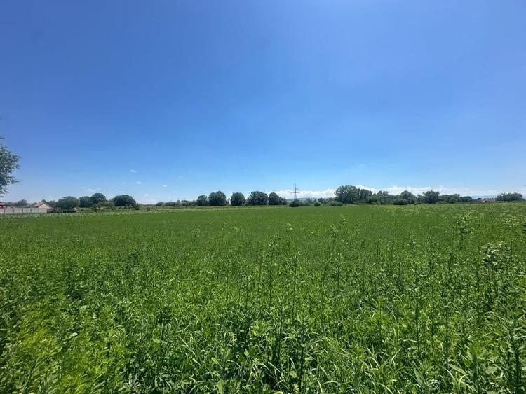 Teren Construcții intravilan de 29100 mp, în Vințu de Jos
