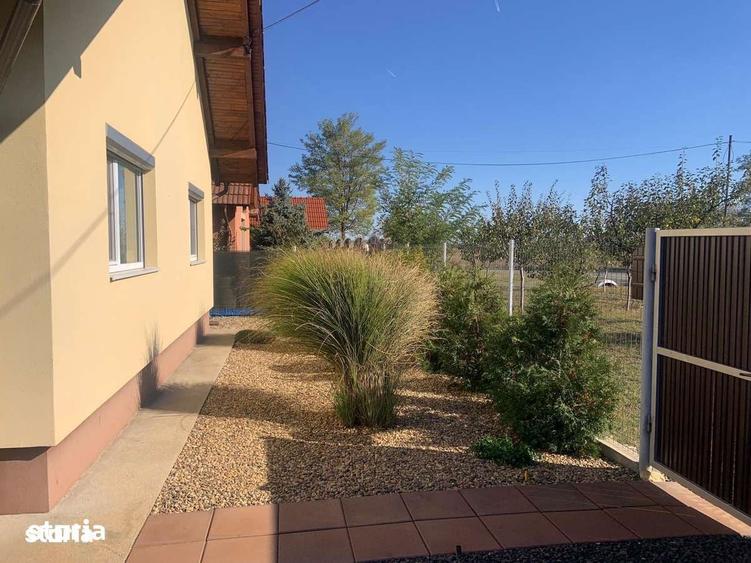 Vand casa individuala pe parter in Dragsina - Timis - 9
