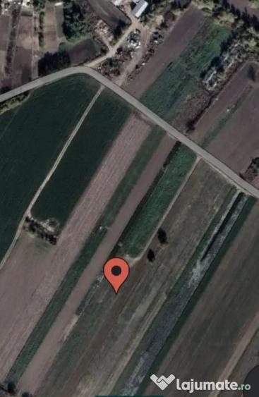 Teren de 2000 mp, în Măgurele