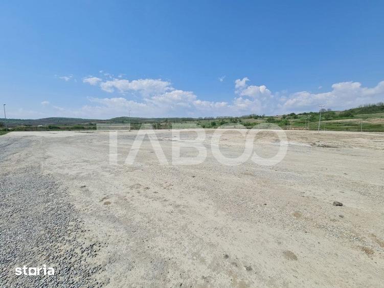 Teren de 40000 mp, în Teiu