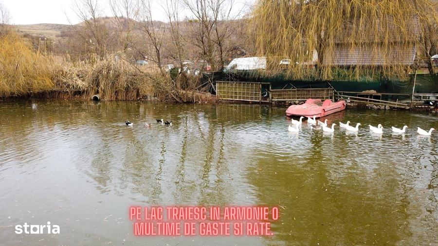 Teren de 27000 mp, în Central