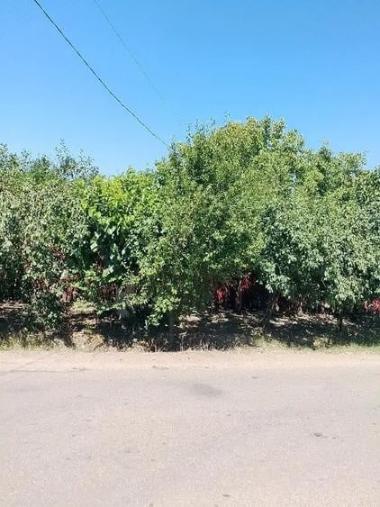 Vind casa locuibila - 2