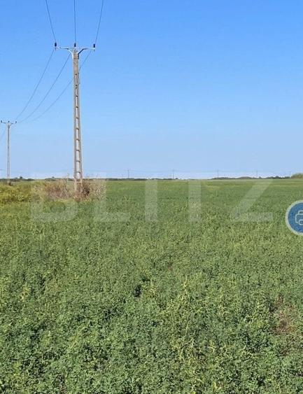 Teren Construcții intravilan de 250000 mp, în Exterior Sud