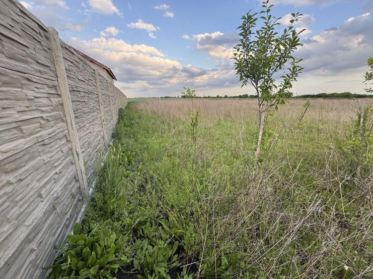 Teren Construcții intravilan de 766 mp, în Becicherecu Mic