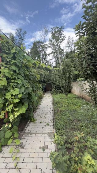 Casă cu 3 camere în Cătunu