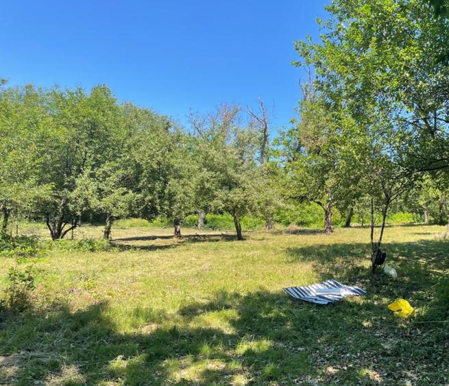 Teren Construcții intravilan de 4657 mp, în Coruia