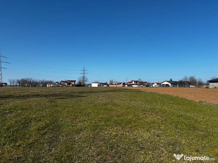 Teren de 3000 mp, în Movila (Niculești)