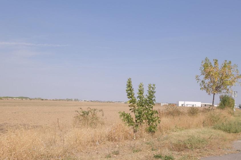 Teren Construcții intravilan de 57000 mp, în Exterior Sud
