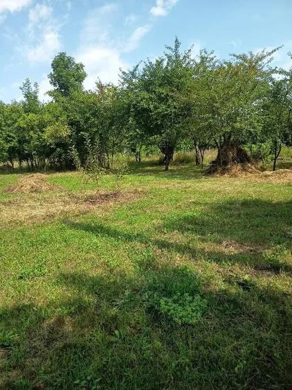 Teren de vanzare in Brebu 1.206 mp - 6