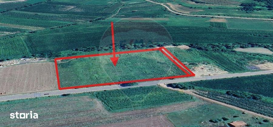 Teren de 17250 mp, în Moșna