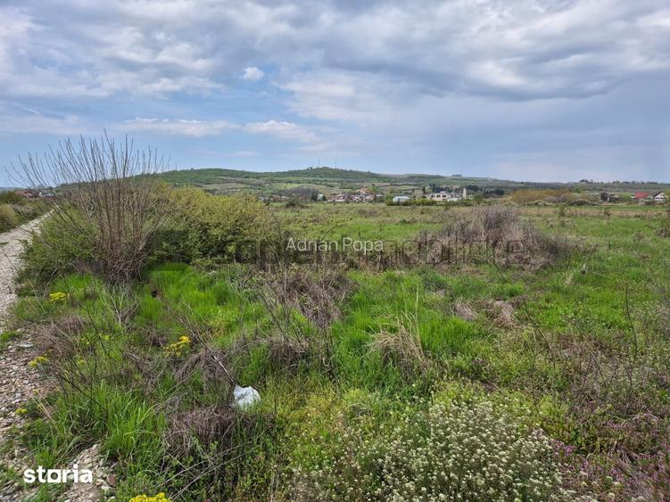 Teren intravilan Draga?ani