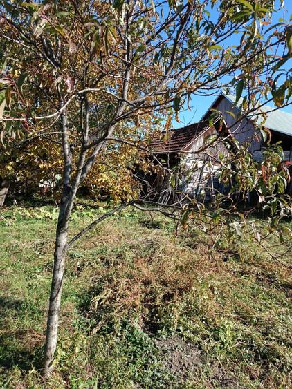 Casă cu 3 camere în Târnova
