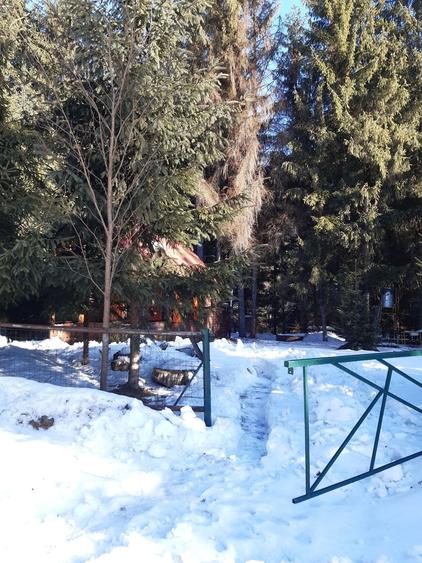Teren de 1600 mp, în Arieșeni