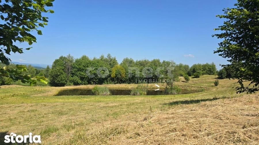 Teren de 1000 mp, în Făget